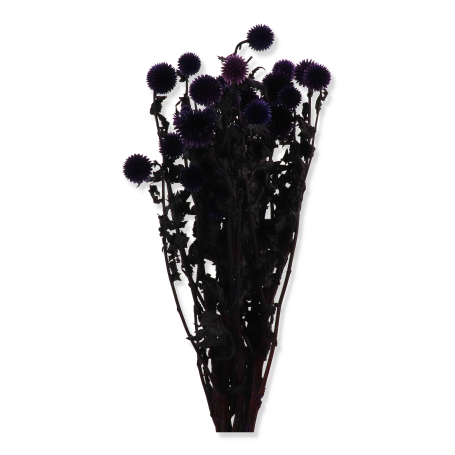 051 purple