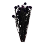 051 purple