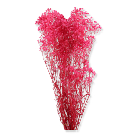 022 dk pink