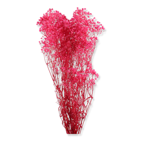 022 dk pink