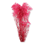 022 dk pink