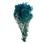 022 blue