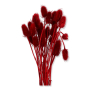 057 red