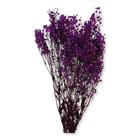 022 purple