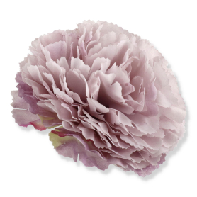 62237 aut lilac