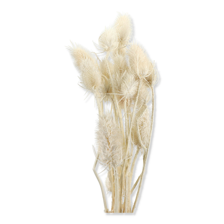 057 white