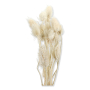 057 white