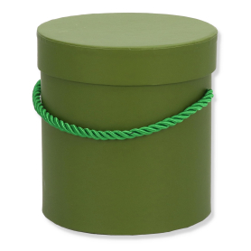 box12 dk olive