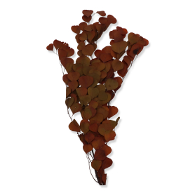 326 lt brown