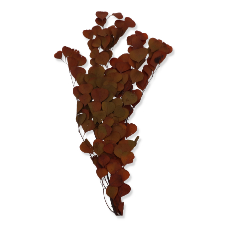 326 lt brown