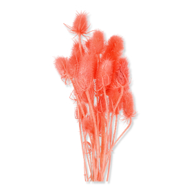057 pink