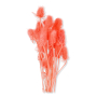 057 pink