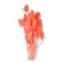 057 pink