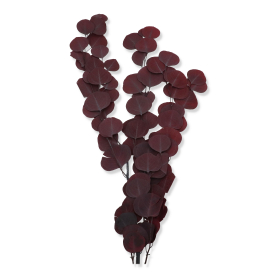 326 burgundy
