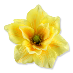 56608 lemon