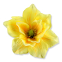 56608 lemon