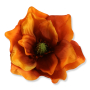 56608 aut orange red