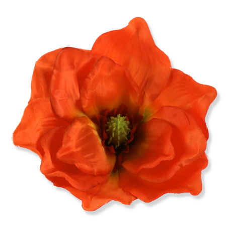 56608 orange