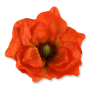 56608 orange