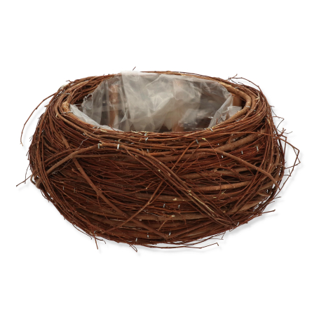 256519 c