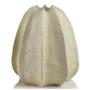 Wazon 17x26cm MANON HTTU6763