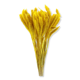 01 lisy yellow