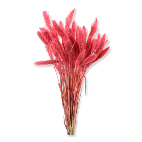 01 lisy pink
