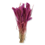 01 lisy violet