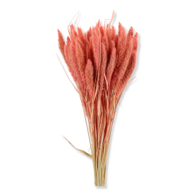 01 lisy peach