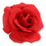 63273 red
