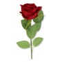 63276 red