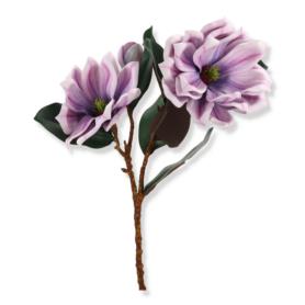 Magnolia gałązka LEV027