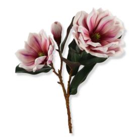Magnolia gałązka LEV027