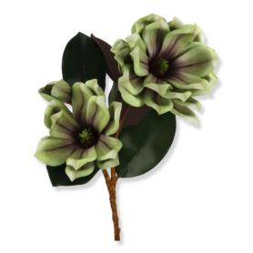 Magnolia gałązka LEV027