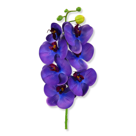 63268 ultra violet