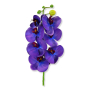 63268 ultra violet