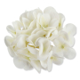 63293 cream