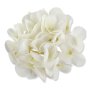 63293 cream