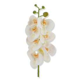 63268 cream