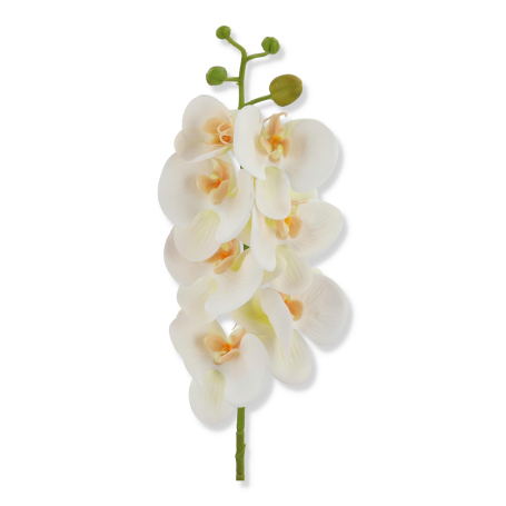63268 cream