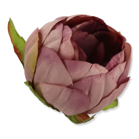 52602 aut lilac
