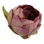 52602 aut lilac