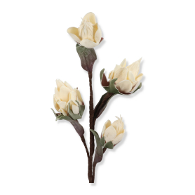 Protea kwiat piankowy VIP/4314