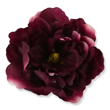 51449 purple