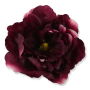 51449 purple