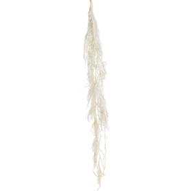 Susz lycopodium 60cm 5szt/pacz 249CAN10514_WH