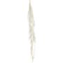 Susz lycopodium 60cm 5szt/pacz 249CAN10514_WH