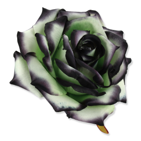 55824 green black