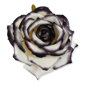55824 white black