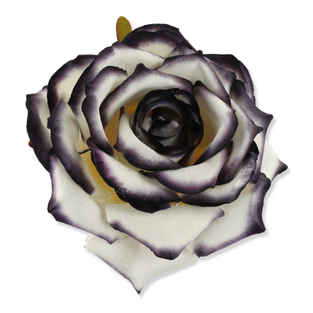 55824 white black